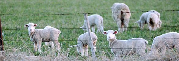 header image1