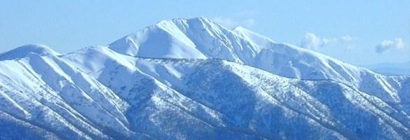 header image9
